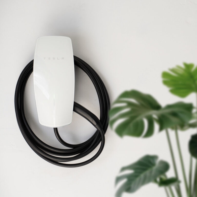 EV Charger on wall and plant in foreground